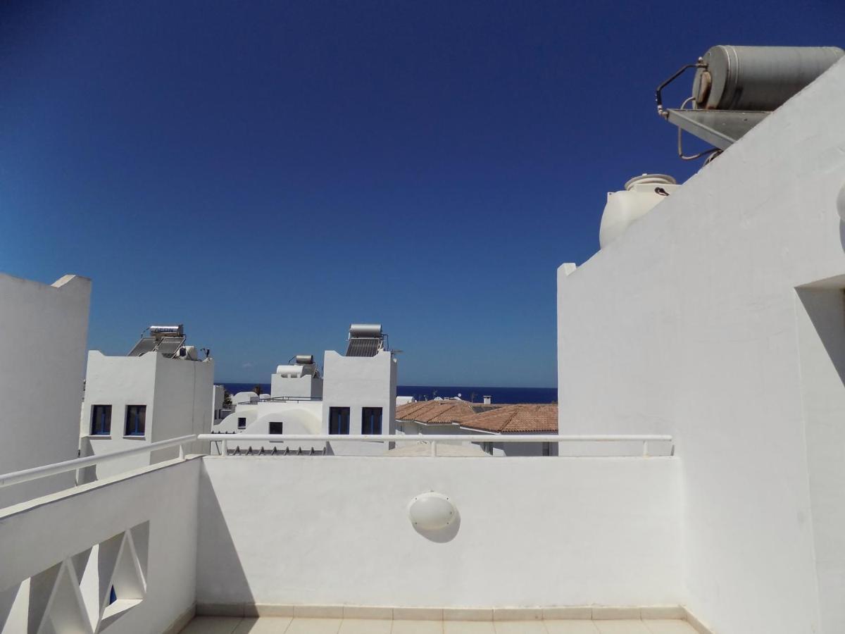 Olive Tree Villa - Protarász Kültér fotó