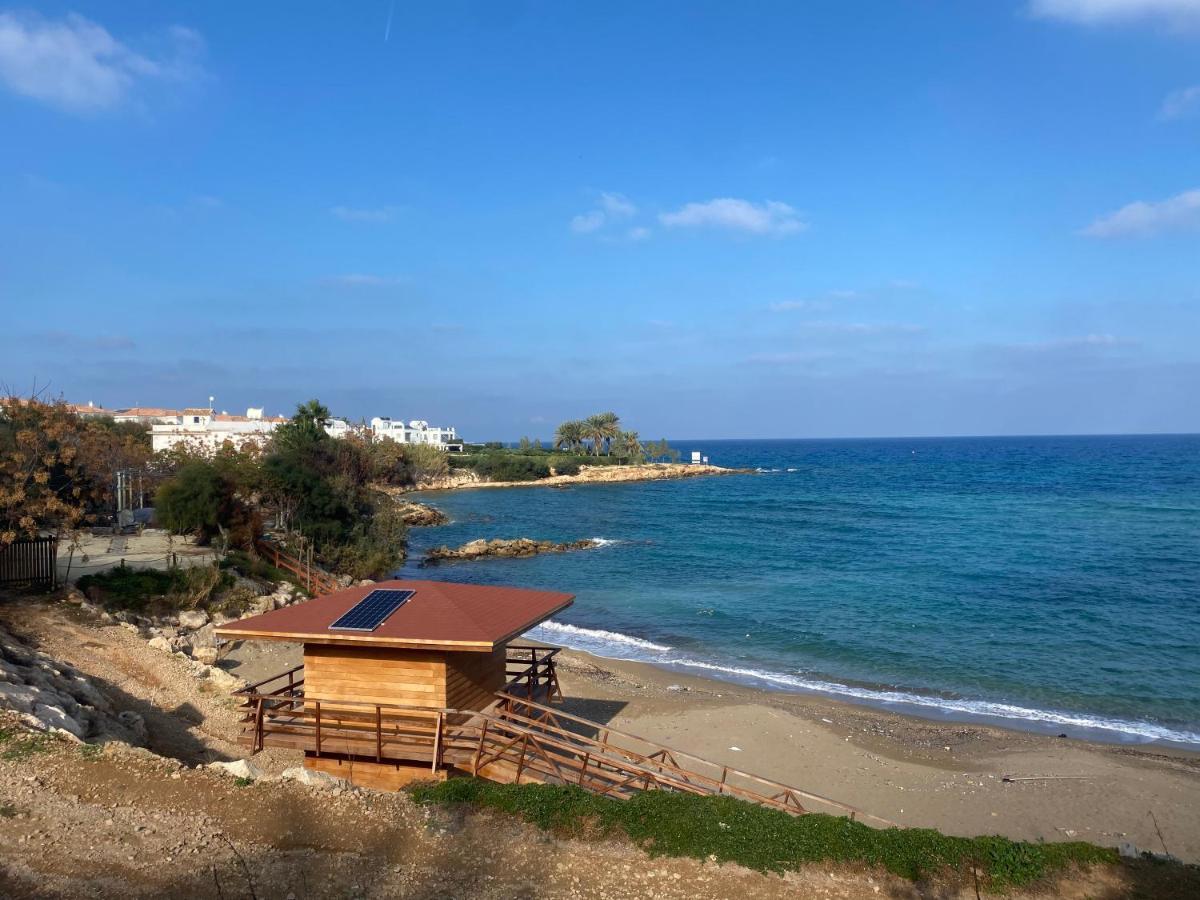 Olive Tree Villa - Protarász Kültér fotó